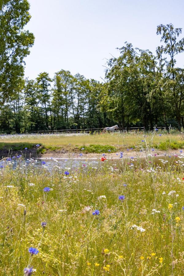 Equilodge 'T Blommeke - Reconnect With Nature Brugge Eksteriør billede