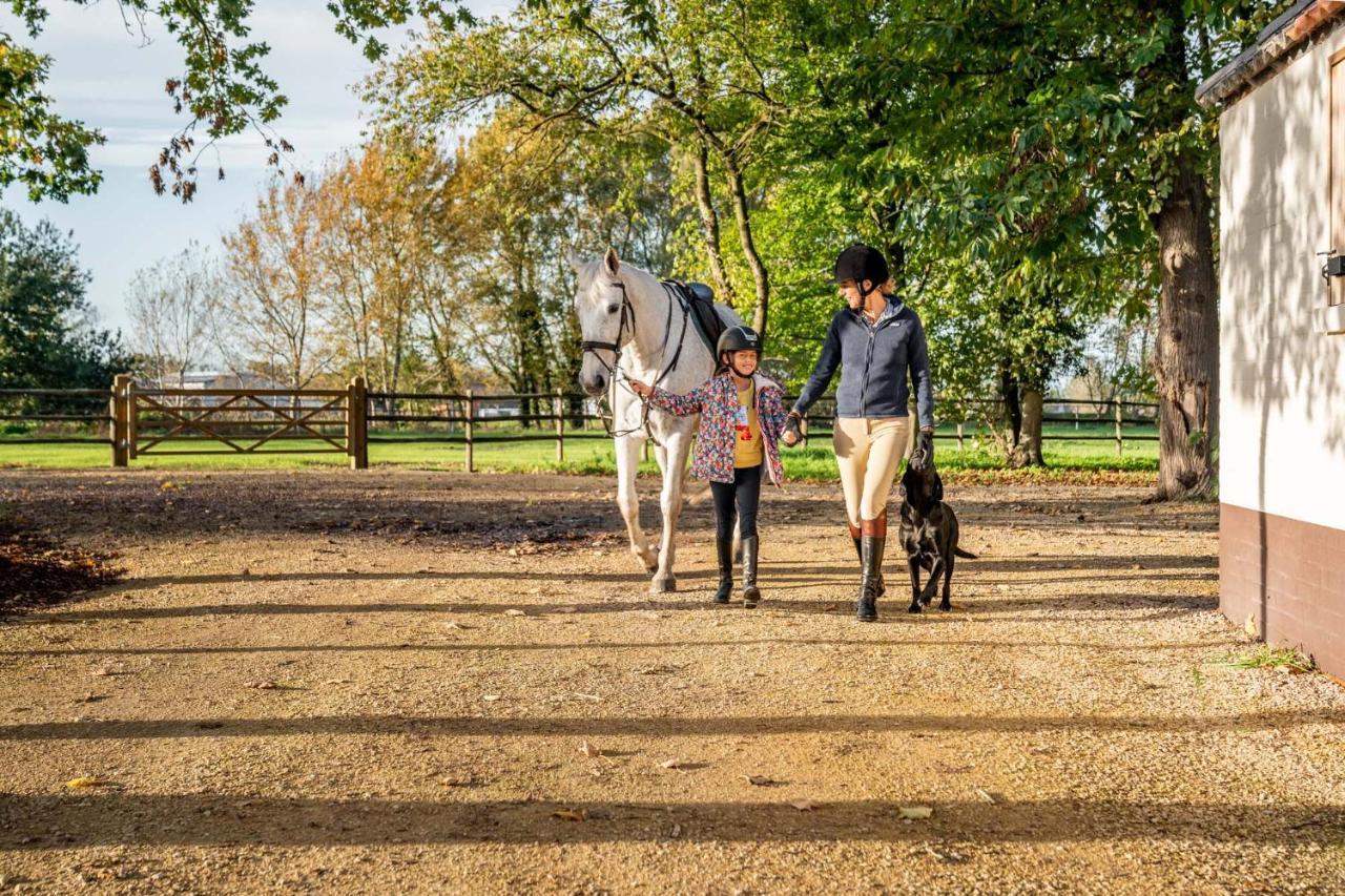 Equilodge 'T Blommeke - Reconnect With Nature Brugge Eksteriør billede