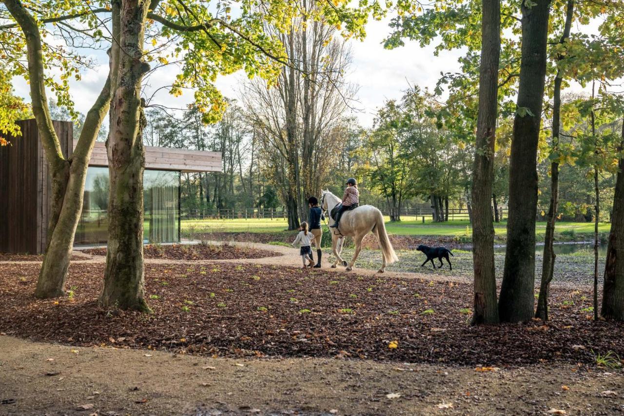 Equilodge 'T Blommeke - Reconnect With Nature Brugge Eksteriør billede