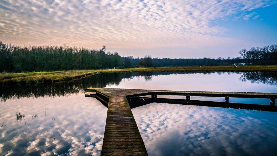 Equilodge 'T Blommeke - Reconnect With Nature Brugge Eksteriør billede